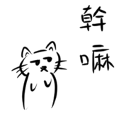 875543797