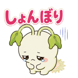 875550949