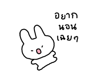 บันบัน บันนี่ ดูเดิ้ล 4