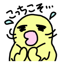8755797