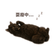 875589877