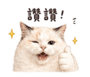875597396