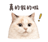 875597400