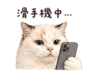 875597405