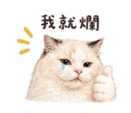 875597406