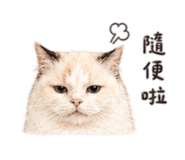 875597415
