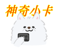 875597845