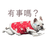 875598483