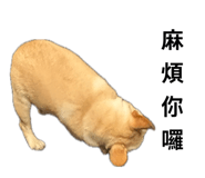 875598491
