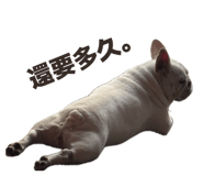 875598493
