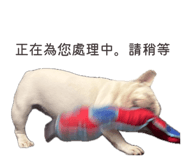 875598498