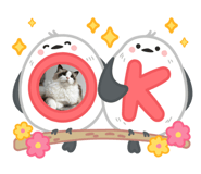 875598796