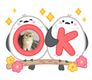 875598801