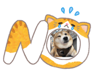 875599438