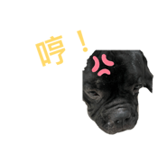 875599954