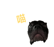 875599958