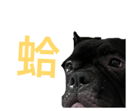 875599959