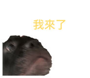 875599960