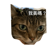 875601101