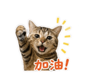 875601397
