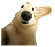875602105