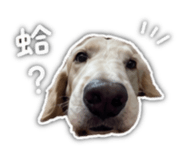 875602106