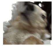 875602119