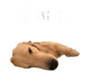 875602120