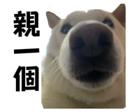 875602467