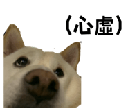 875602472