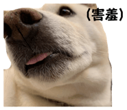 875602478