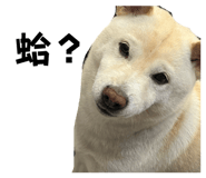 875602487