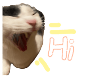 875602538