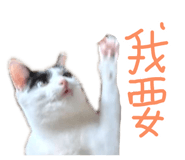 875602542