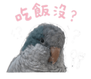 875602580