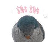 875602582