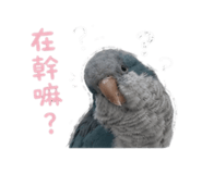 875602589