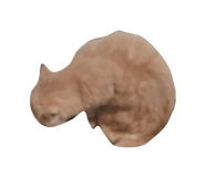 875603994