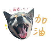 875604549
