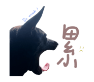 875604575