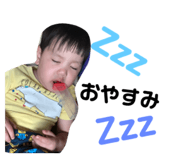 87566022