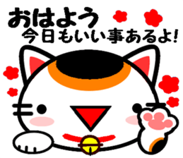 8756618