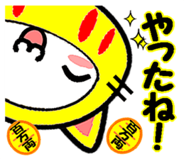 8756620