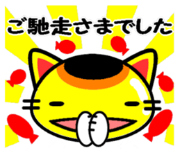 8756649