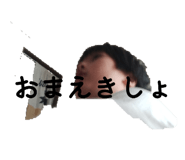 875733663