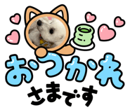 875733797
