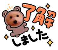 875733800