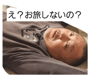 875733911