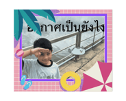 875733961