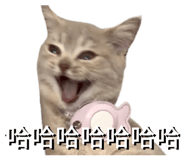 875739723